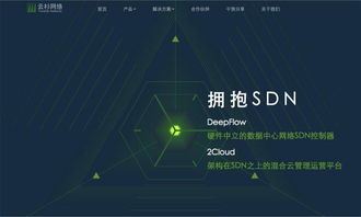 云杉網(wǎng)絡(luò)完成1100萬美元B輪融資，引領(lǐng)國(guó)內(nèi)SDN技術(shù)服務(wù)新浪潮