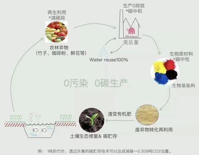 中國企業講述中國故事 | 從大自然中提取色彩,這家企業為何"孤注一擲"做生物基染料?