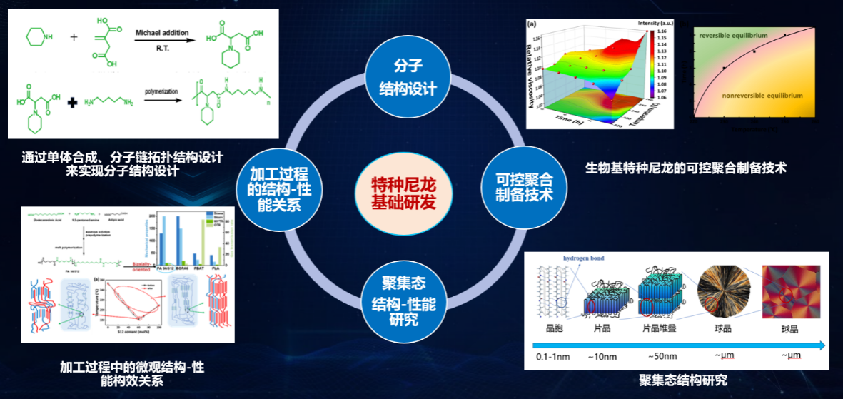 打破國際壟斷，書寫國產(chǎn)新材料新篇章 榕江實驗室生物基尼龍創(chuàng)新團隊榮獲省賽團體組三等獎
